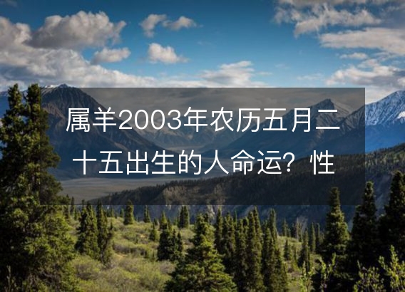 属羊2003年农历五月二十五出生的人命运？性格、感情、婚姻解析