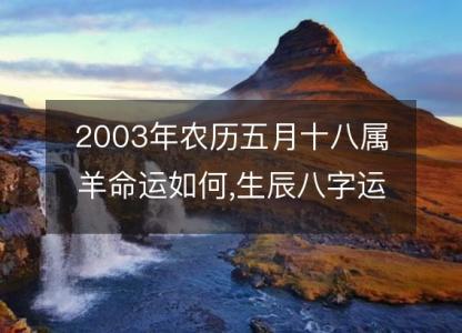 2003年农历五月十八属羊命运如何,生辰八字运势 五行查询