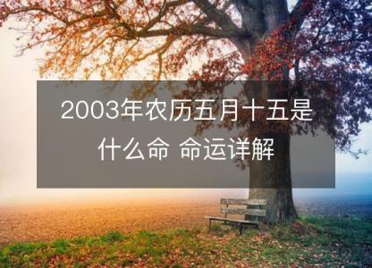 2003年农历五月十五是什么命 命运详解