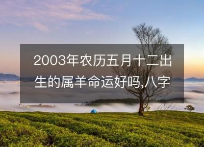 2003年农历五月十二出生的属羊命运好吗,八字五行缺什么 <font color='red'>性格特点</font>